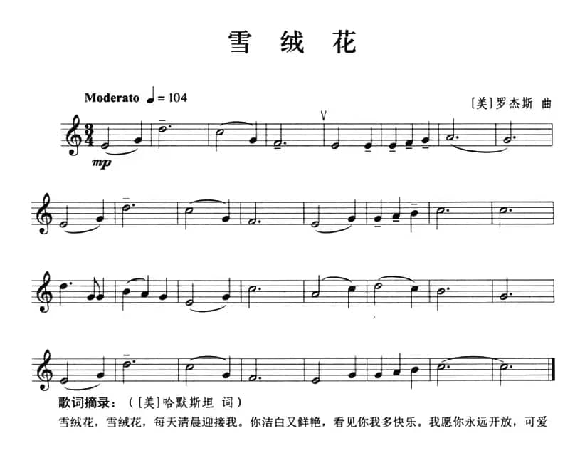 雪绒花（小号）