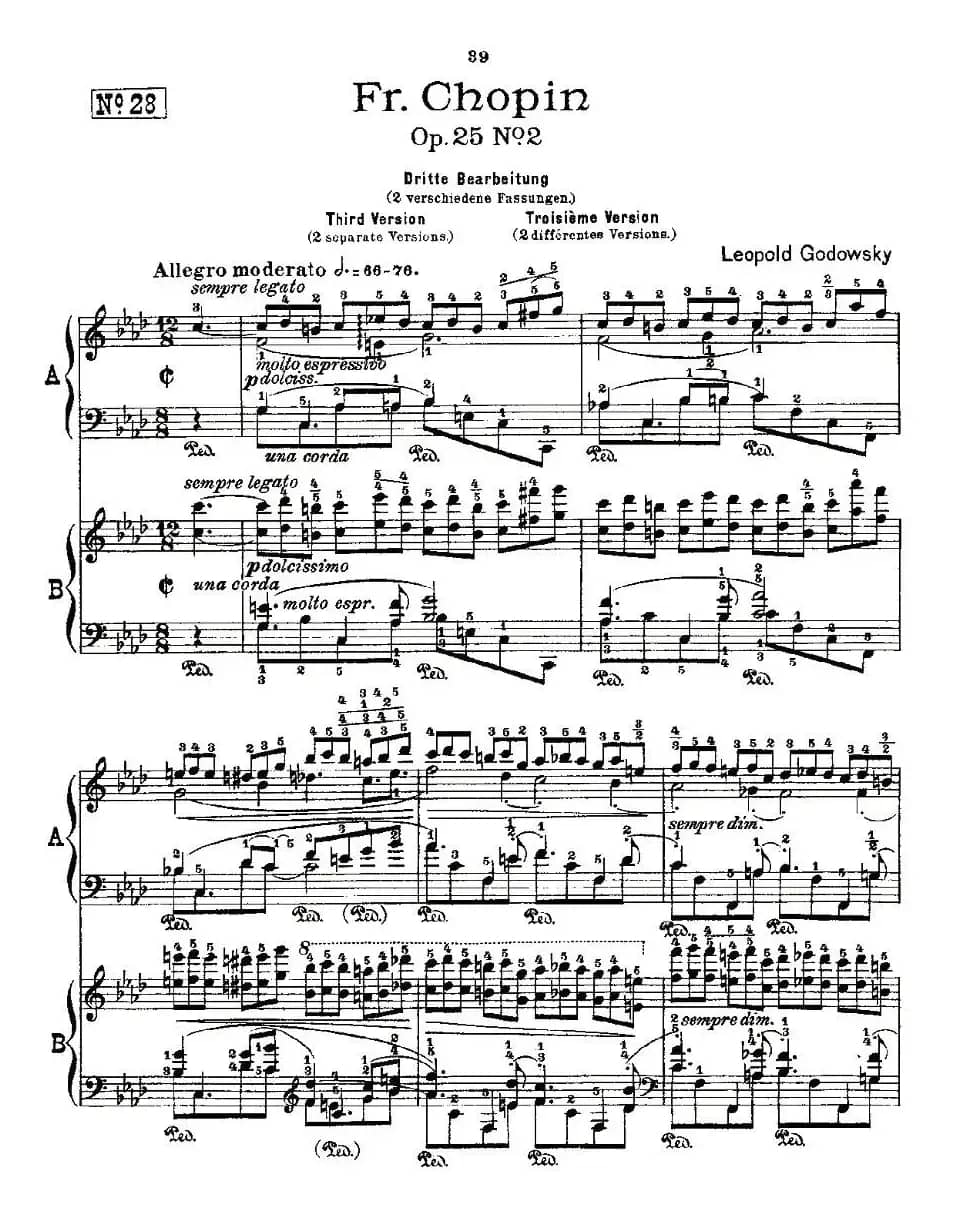肖邦《练习曲》Fr.Chopin Op.25 No2-3