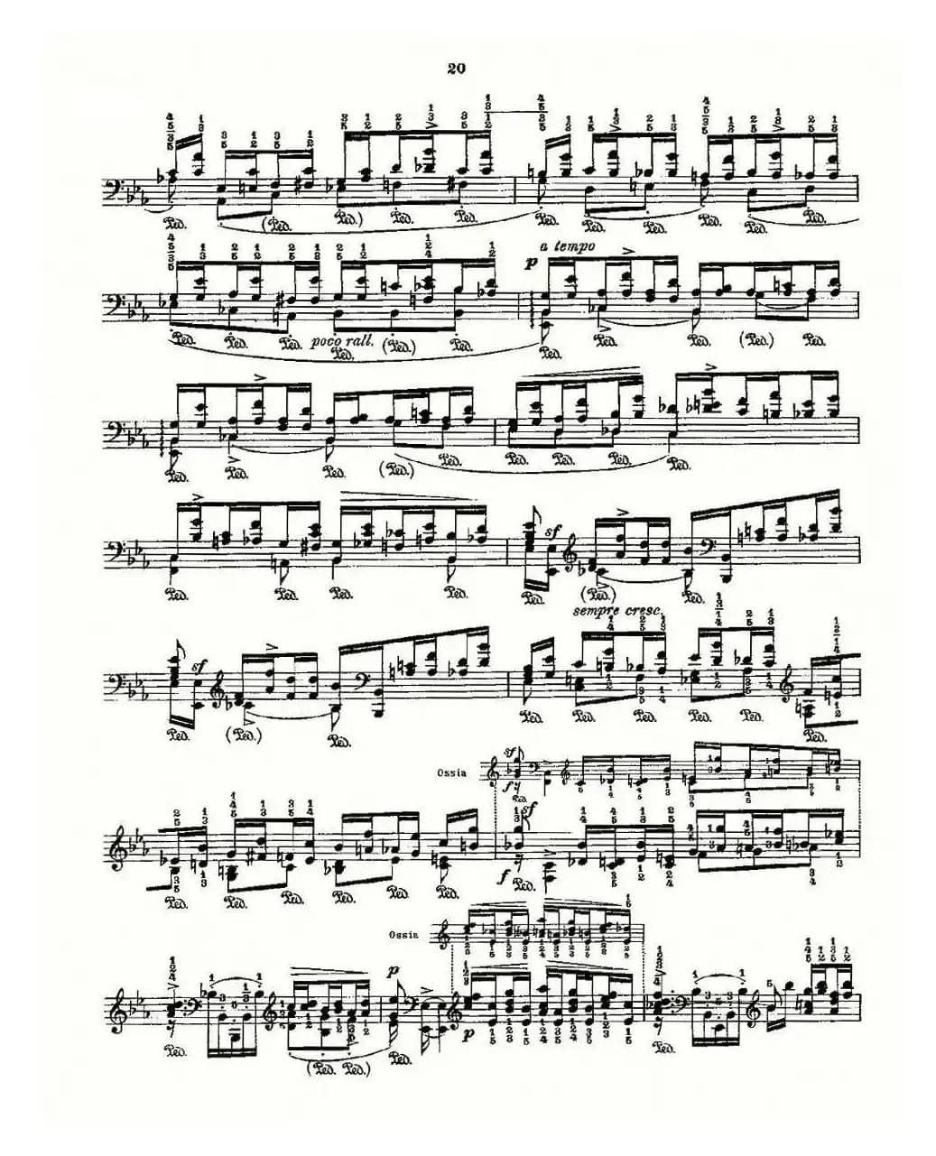 肖邦《练习曲》Fr.Chopin Op.10 No7-3