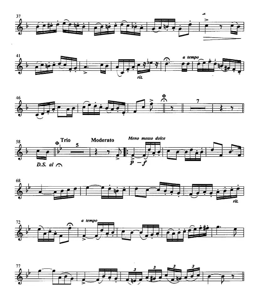 幽谷乐园 （小号）