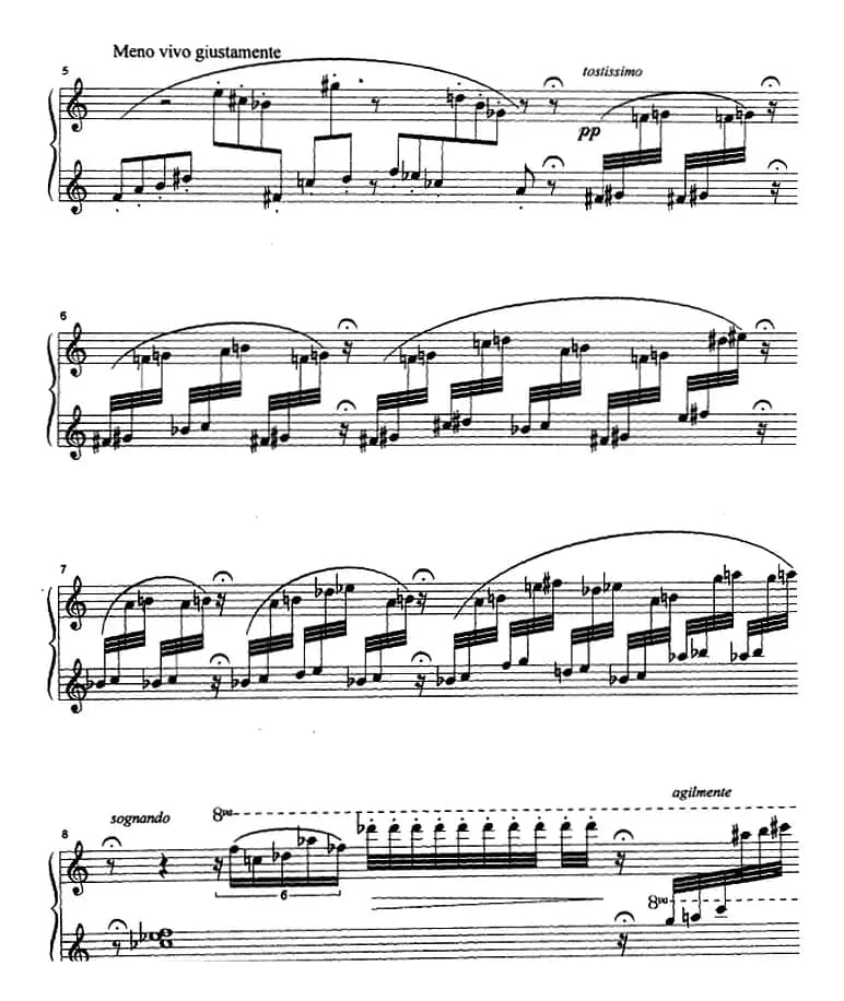 克劳斯的鸟（小鹦鹉）