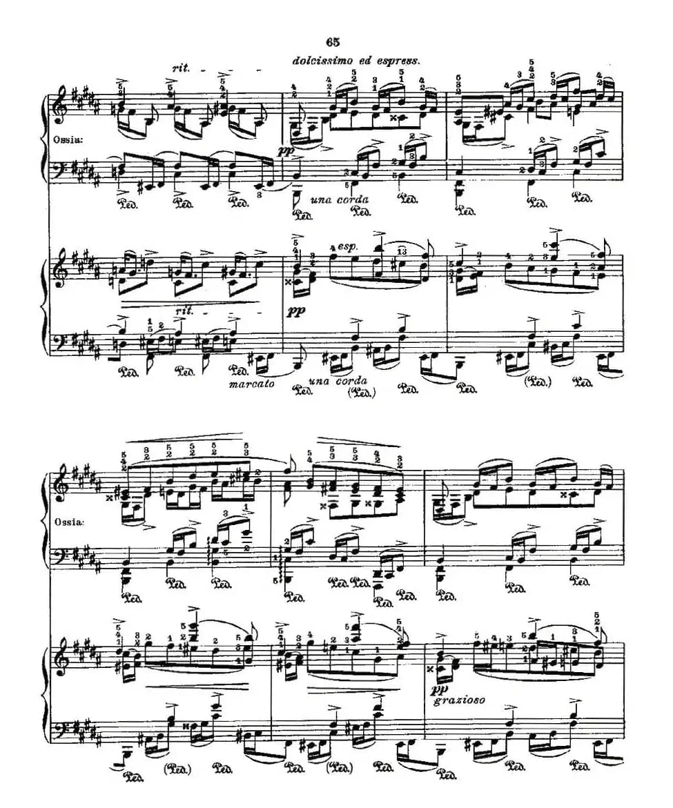 肖邦《练习曲》Fr.Chopin Op.25 No3-1
