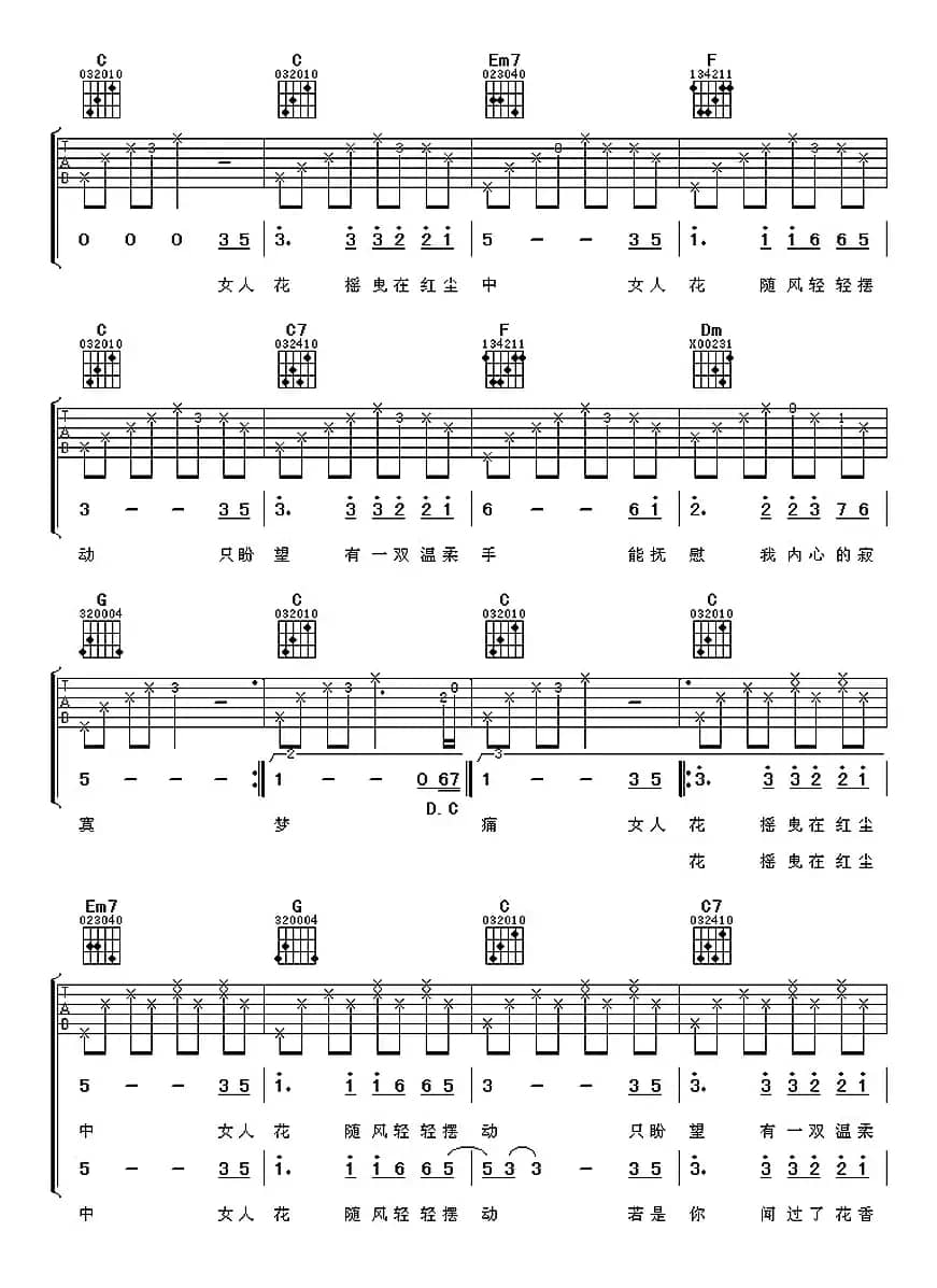 女人花（阿潘编配版）