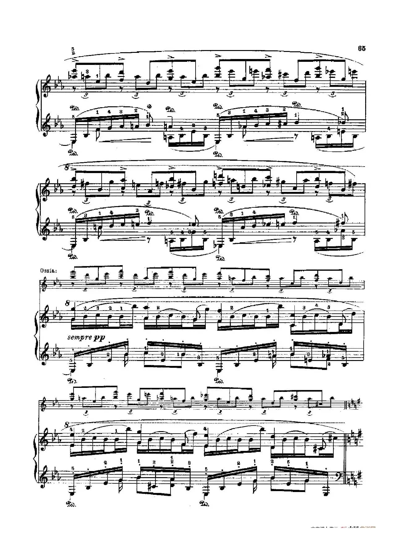 53首以肖邦练习曲为素材而作的练习曲（No.19）