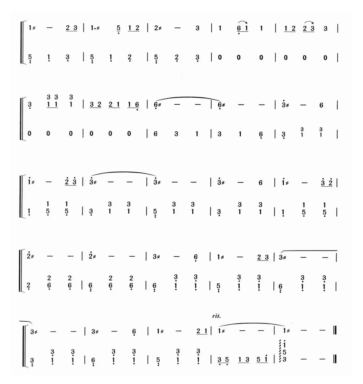 月光下的凤尾竹