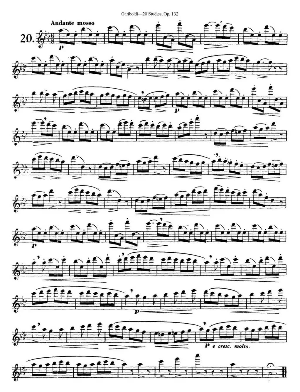 二十首练习曲作品132号之20