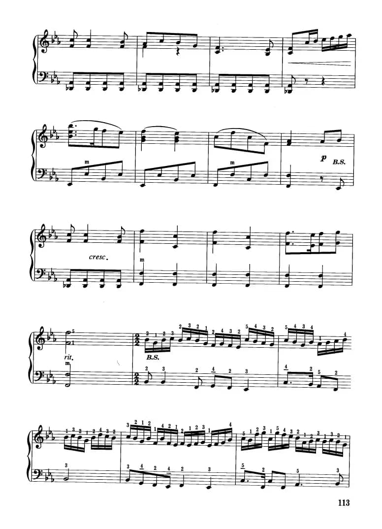 山丹丹开花红艳艳（张波、张信政改编版）