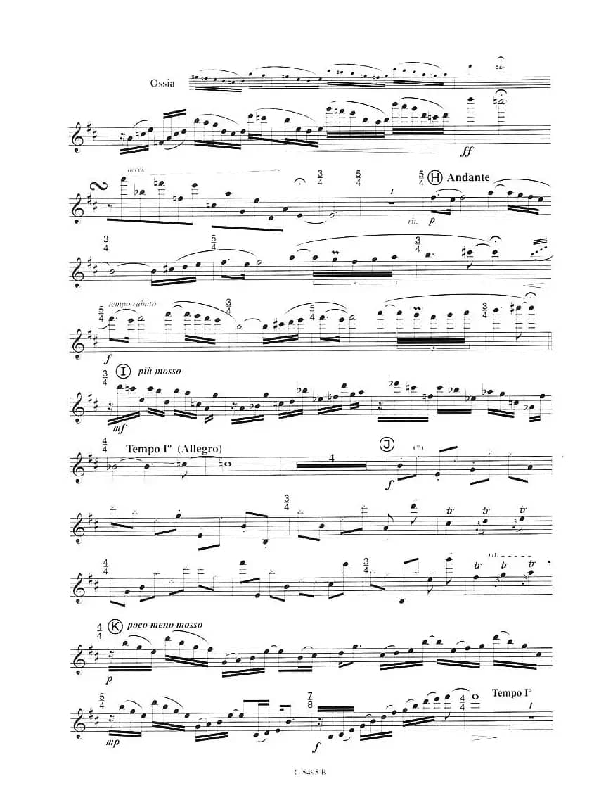 毛绒鸟奏鸣曲之一（须川展也的《Fuzzy Bird Sonata》）