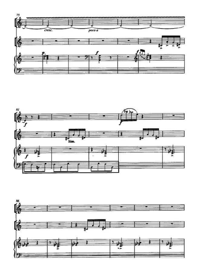 国风（箫、二胡、筝三重奏）