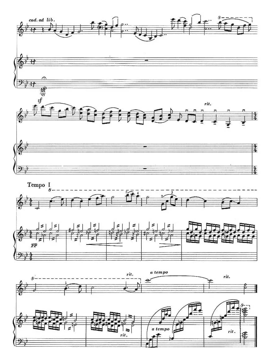 鬲溪梅令（小提琴+钢琴伴奏）