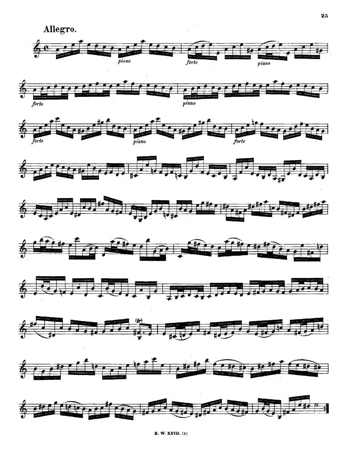 SONATAⅡ（奏鸣曲Ⅱ）