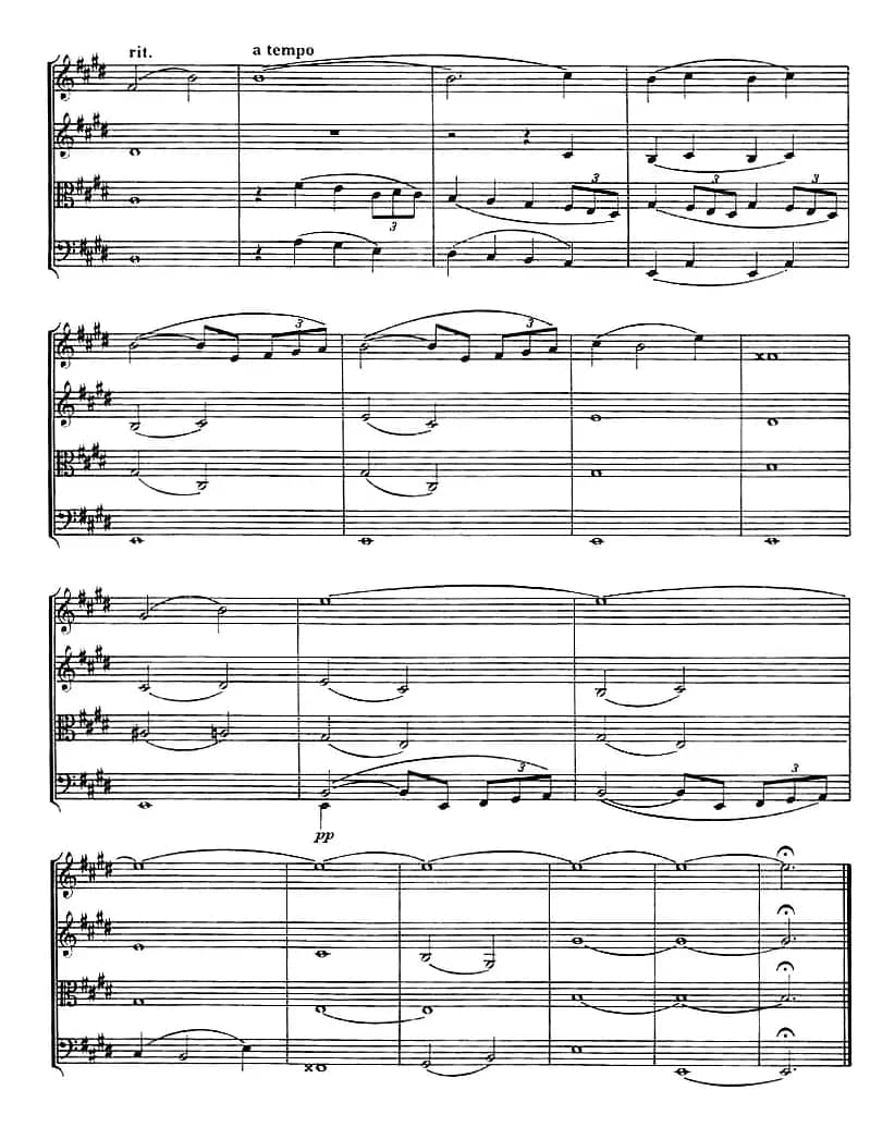 Happy Birthday-Variationen（生日快乐变奏曲、弦乐四重奏）