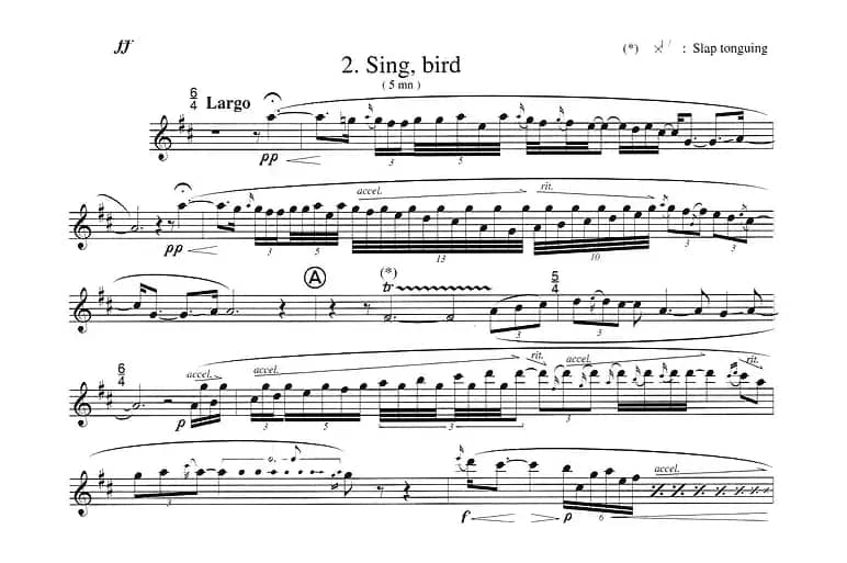 须川展也的《Fuzzy Bird Sonata》（Sing, Bird)毛绒鸟奏鸣曲之）