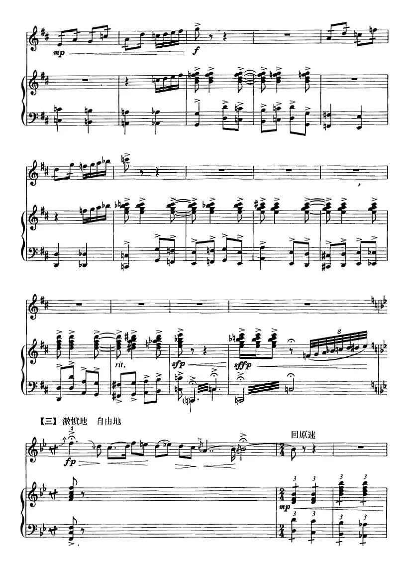 红梅随想曲（二胡+钢琴伴奏）