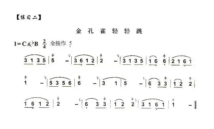 葫芦丝技巧练习之一：打音练习