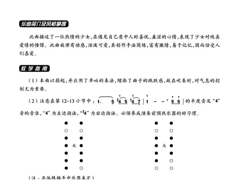 葫芦丝教学曲集：心恋