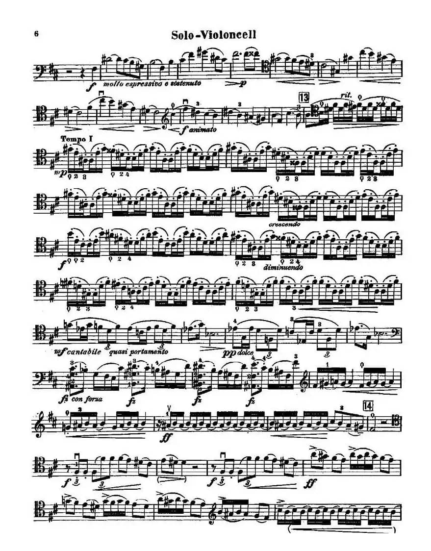 CELLO CONCERTO in B minor（大提琴）