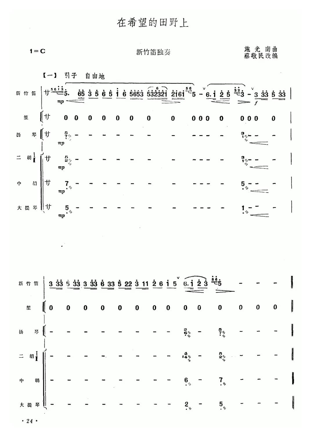 在希望的田野上（新竹笛+乐队伴奏）