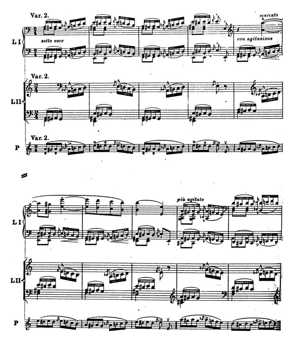 6首帕格尼尼大练习曲（Thema mit Variationen Etude Nr.6）