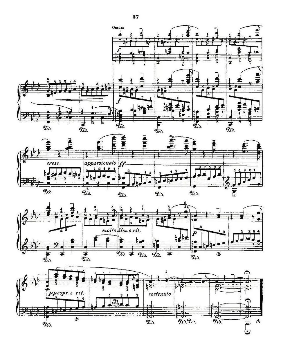 肖邦《练习曲》Fr.Chopin Op.25 No2-2