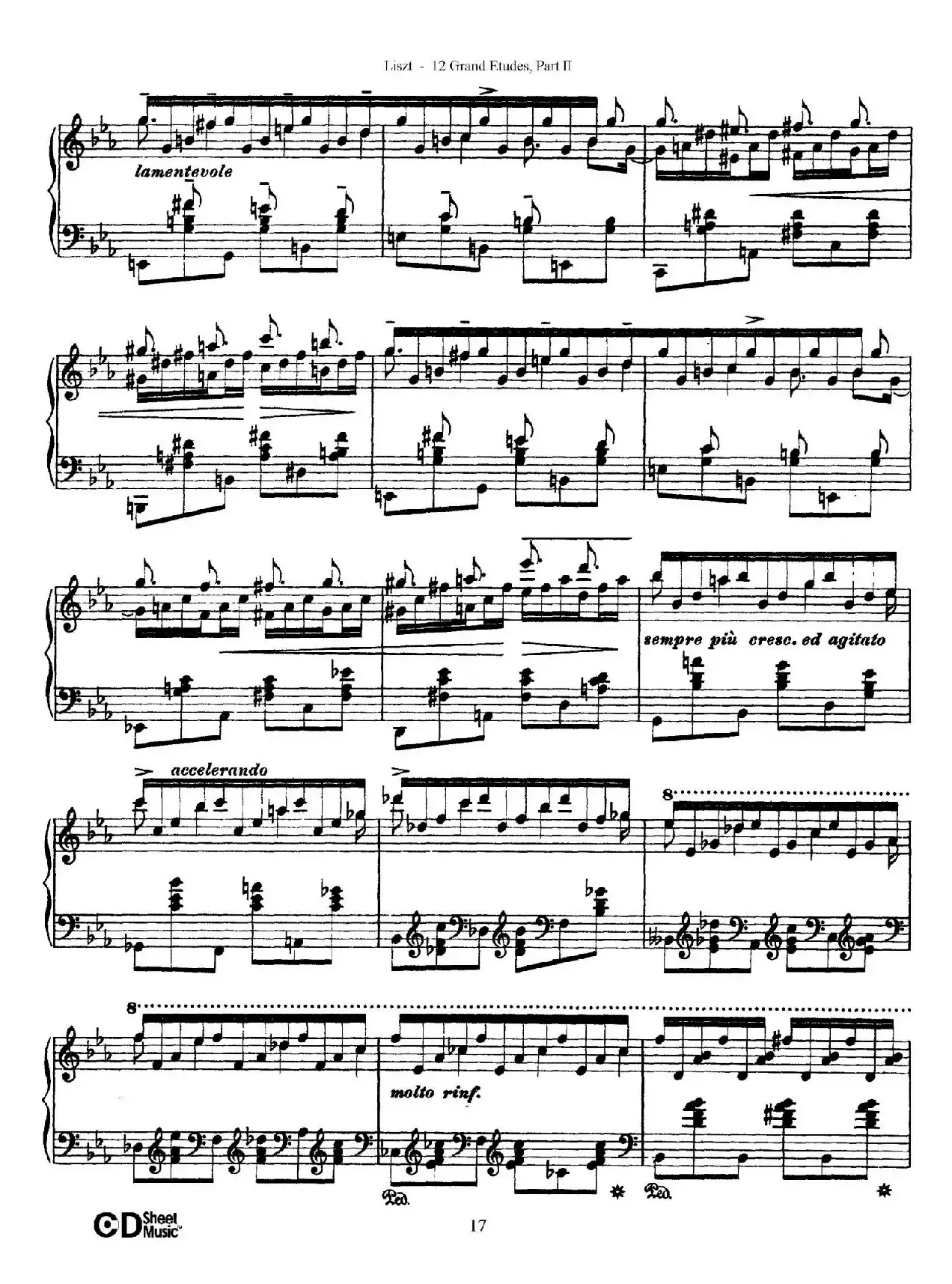 12 Grand Etudes S.137（12首华丽的练习曲·8）