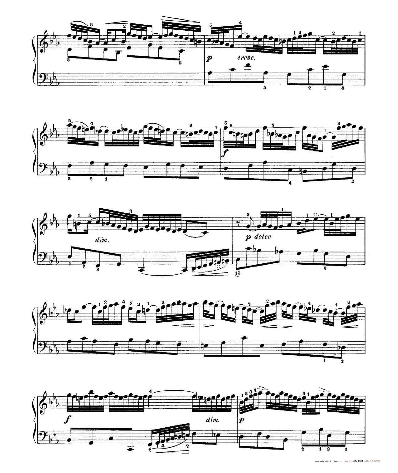 Six Partitas BWV 825-830（6首帕蒂塔·2）