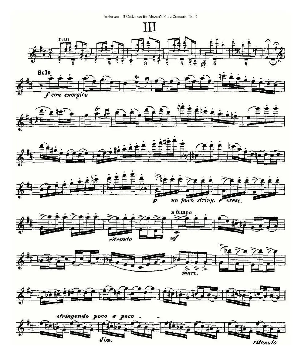 3 Cadenzas for Mozart's flute Concerto No.2