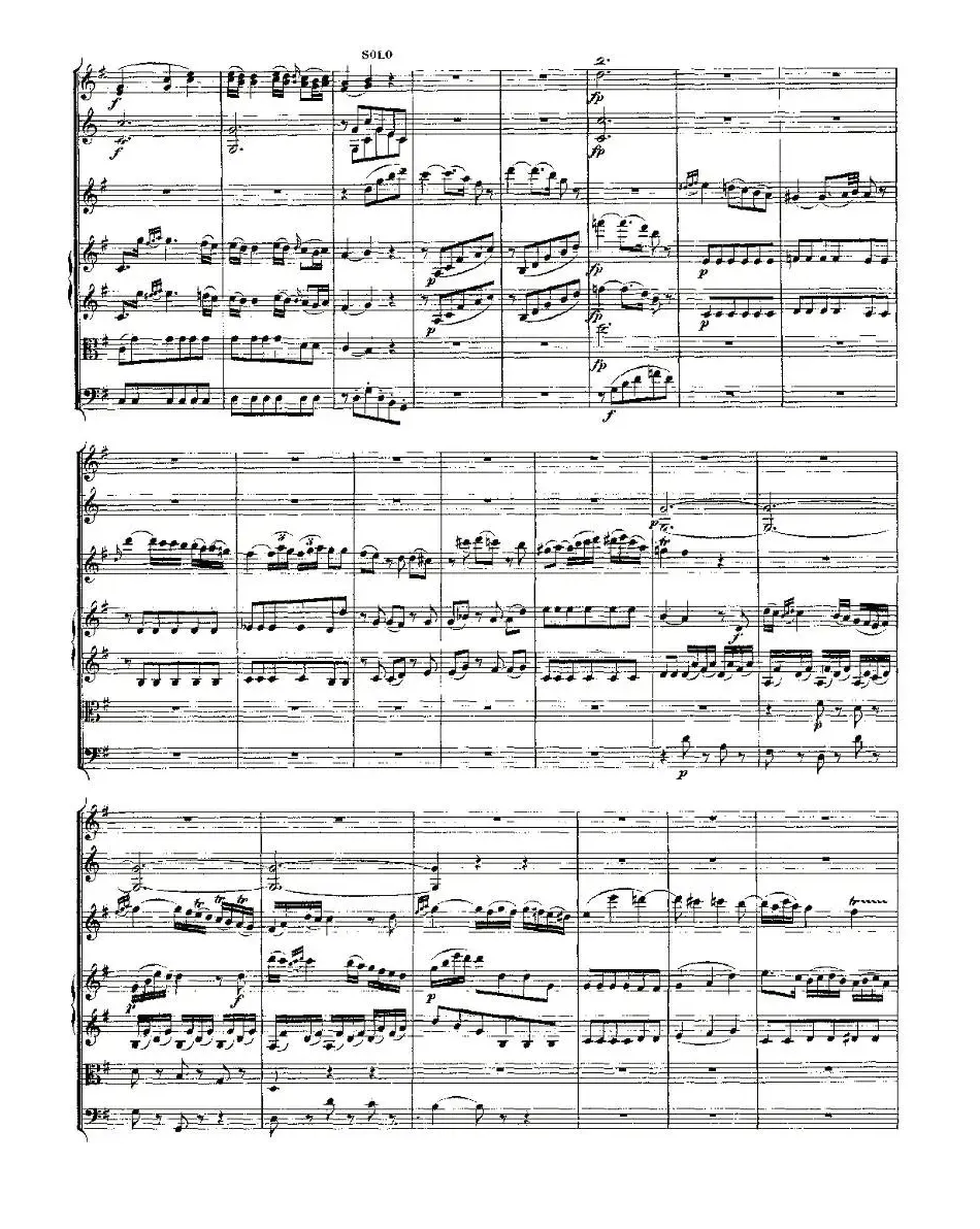 Concerto in D for Flute, K.314（D大调长笛协奏曲）