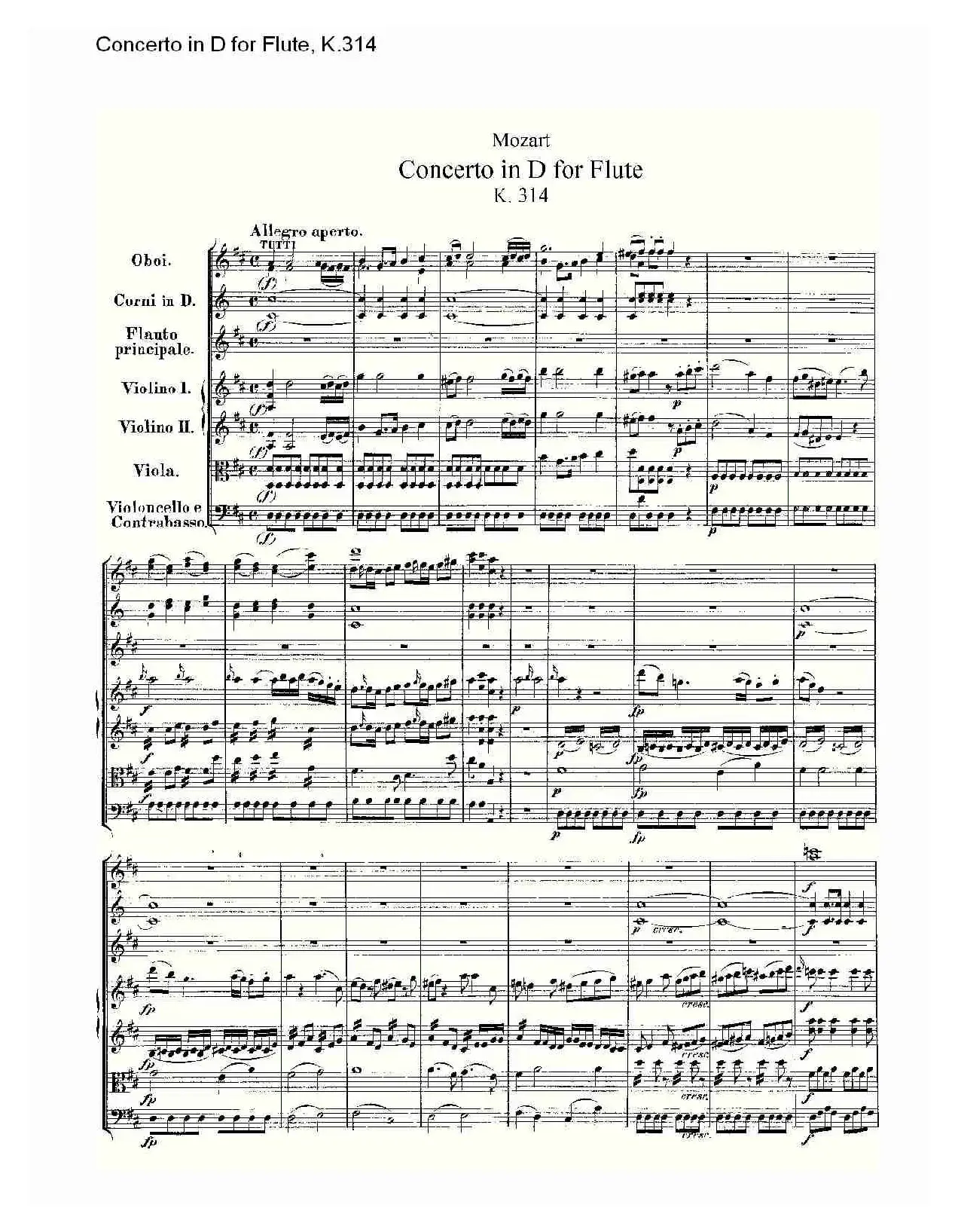 Concerto in D for Flute, K.314（D调长笛协奏曲, K.314）