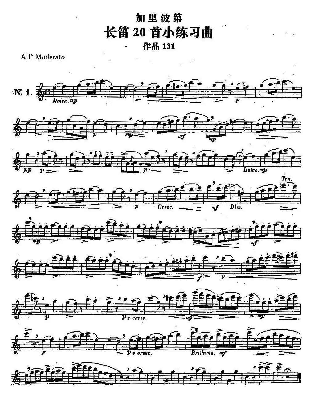 二十首练习曲作品131号（NO.1）