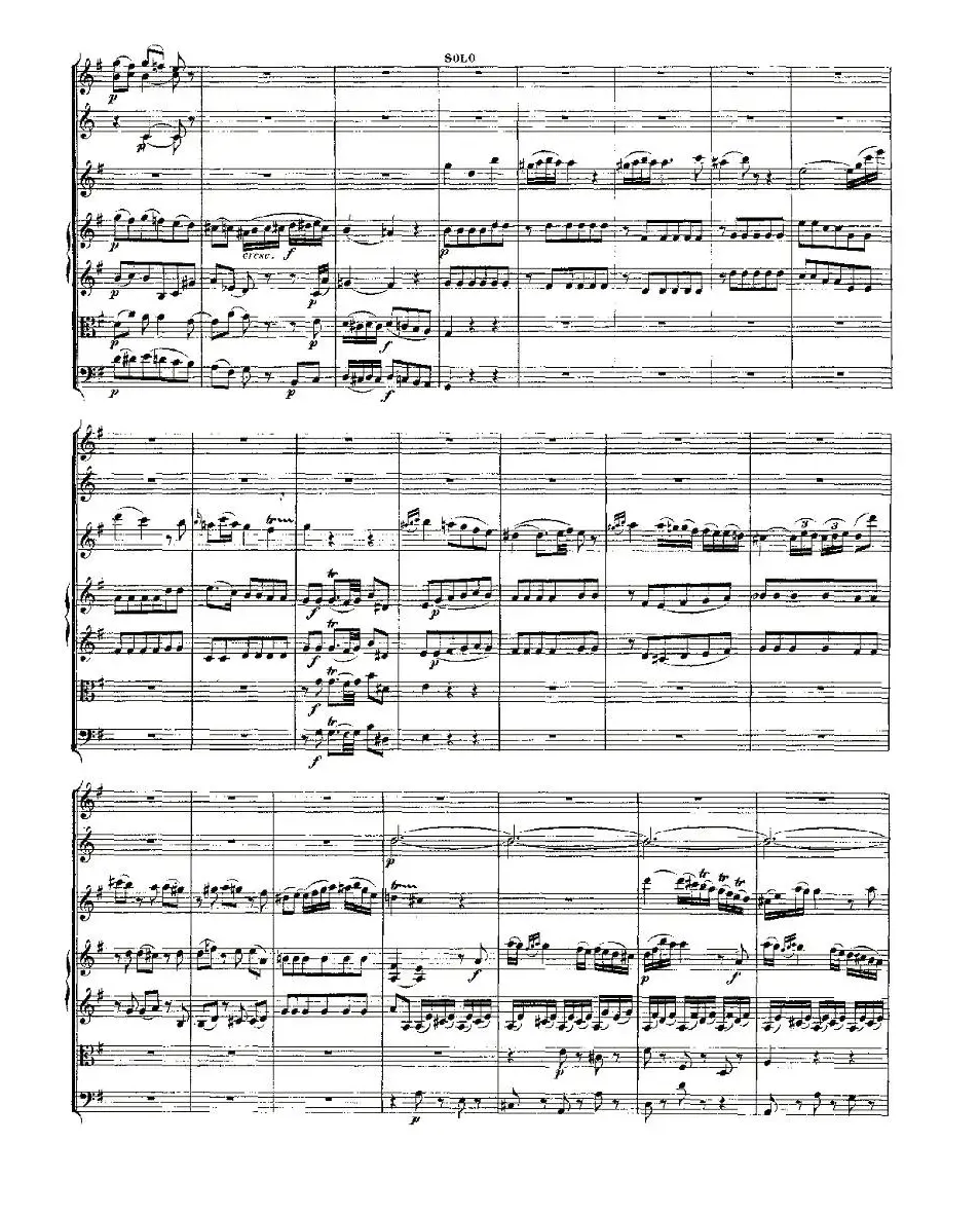 Concerto in D for Flute, K.314（D大调长笛协奏曲）