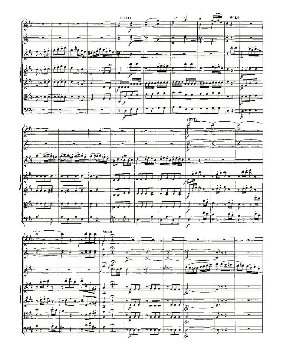 Concerto in D for Flute, K.314（D大调长笛协奏曲）