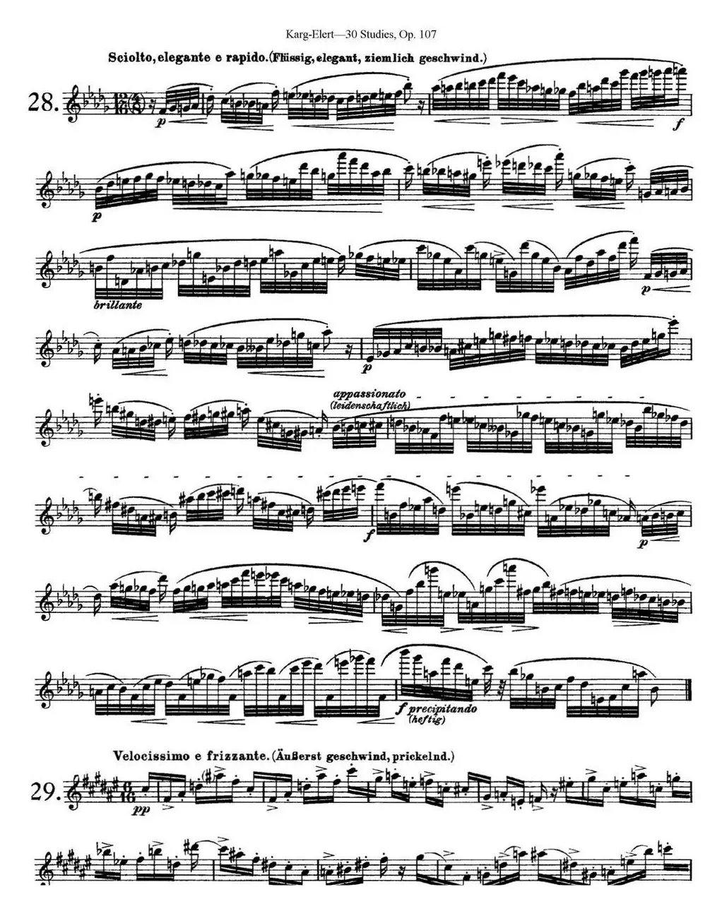 卡-伊勒特30首长笛练习曲Op.107（NO.28-NO.30）