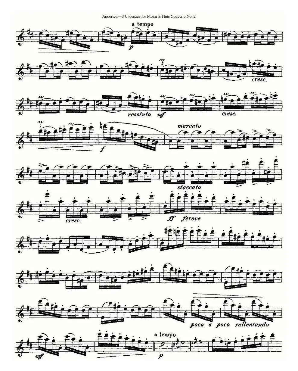 3 Cadenzas for Mozart's flute Concerto No.2