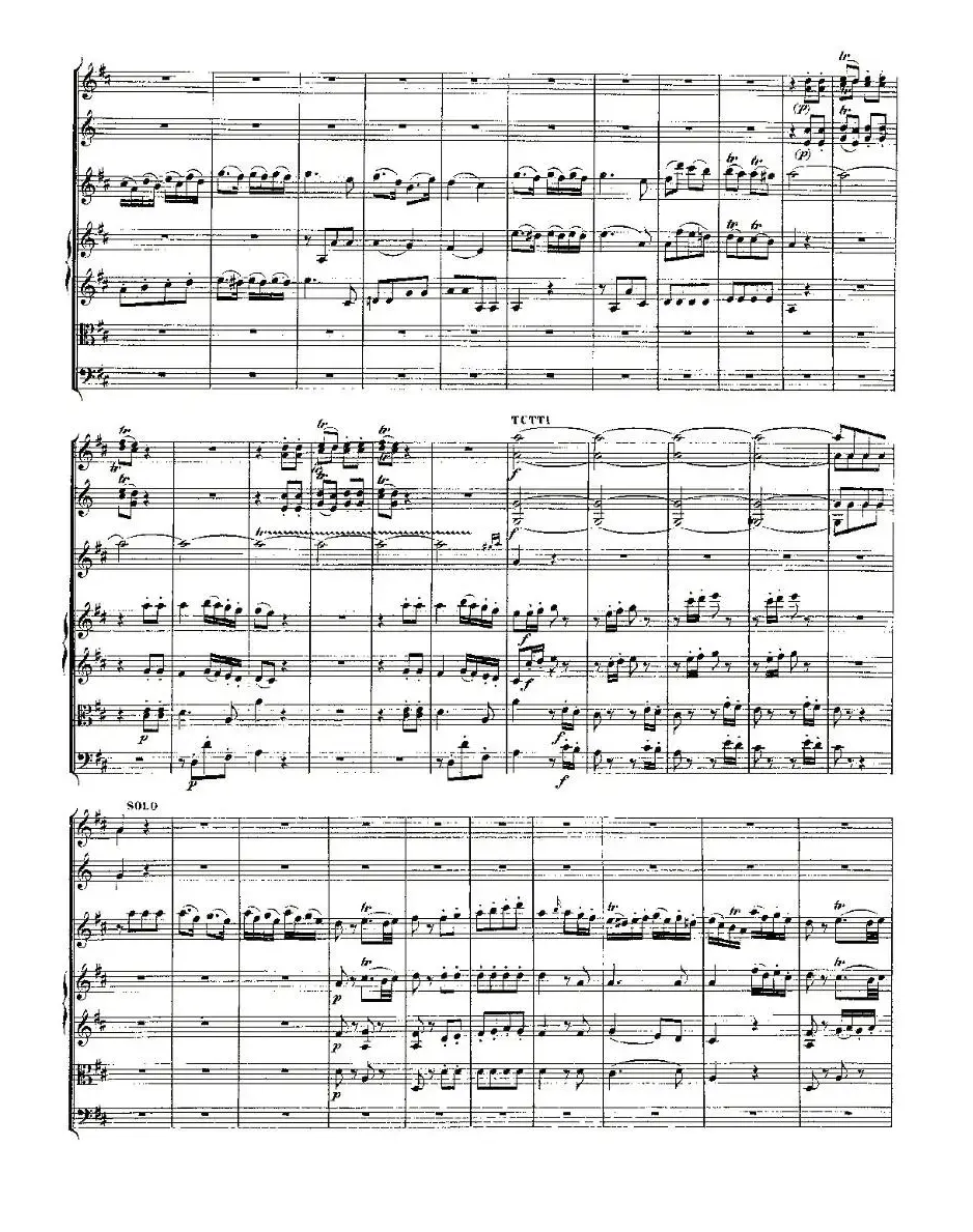 Concerto in D for Flute, K.314（D大调长笛协奏曲）