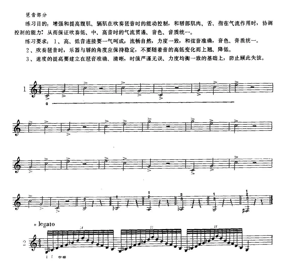 日常琶音练习（小号）