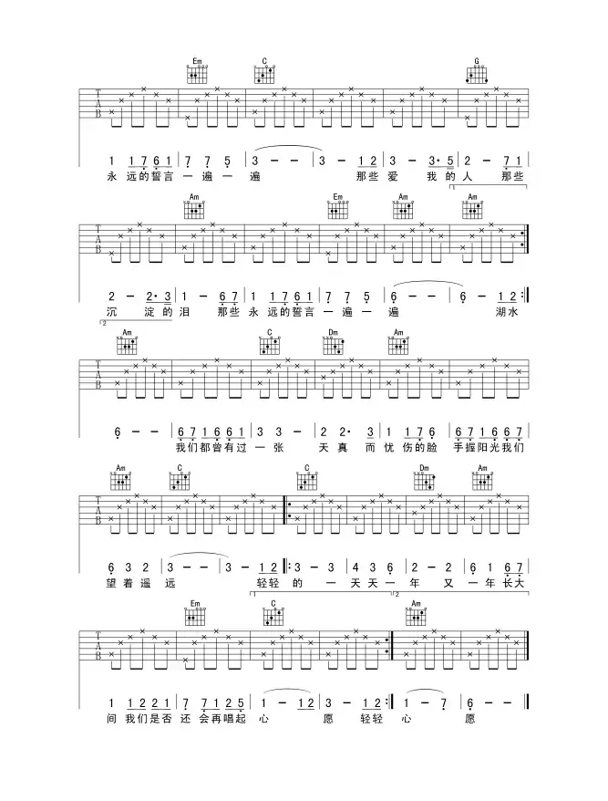 心愿（王泽词曲、觉心Guitar 制谱版）