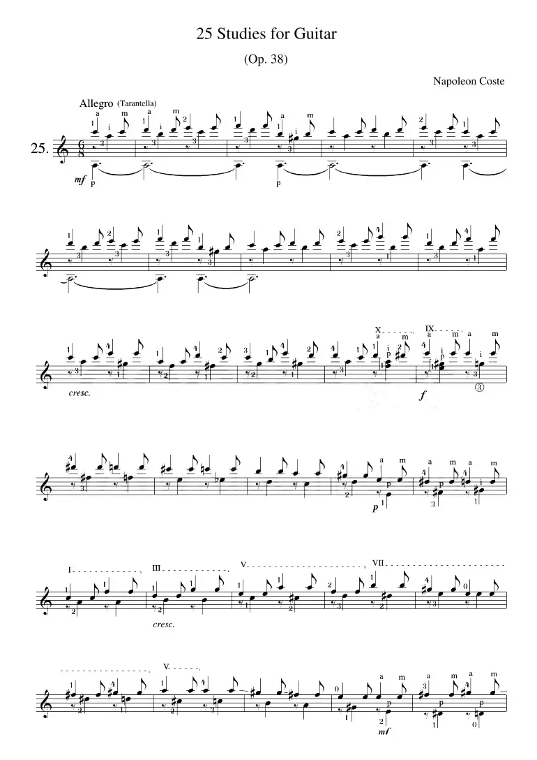 Napoleon Coste《25 Studies,Op.38》（STUDY 25）