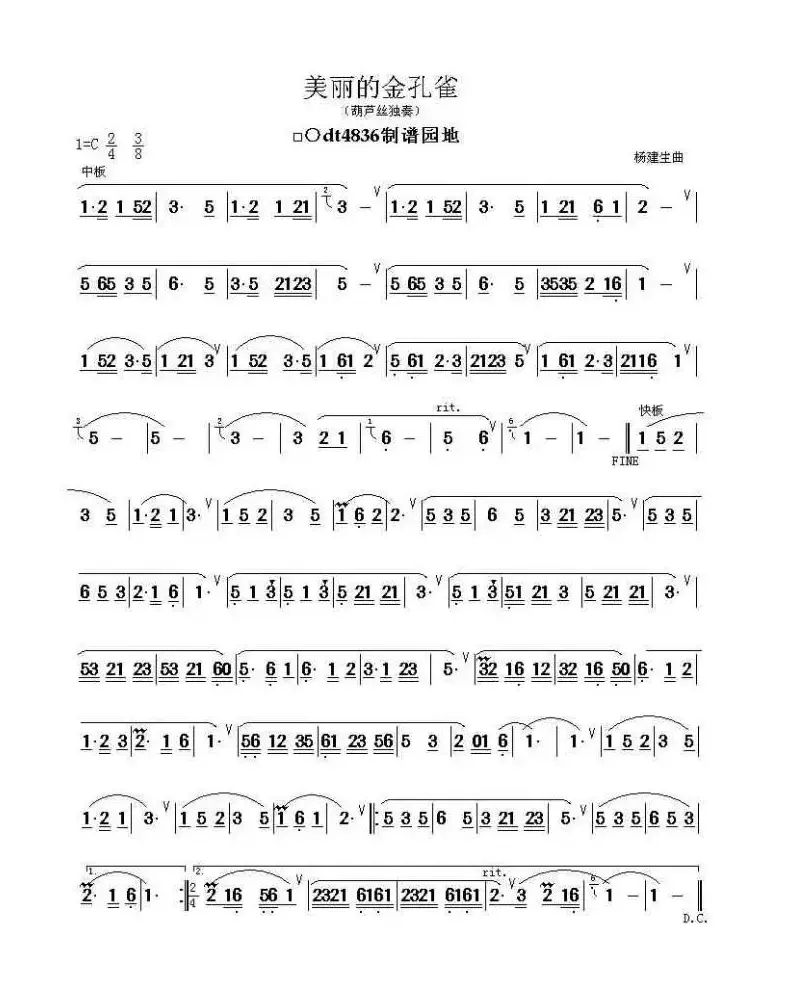 美丽的金孔雀（杨建生作曲版）