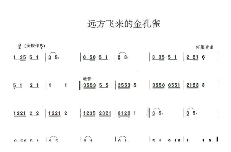 远方飞来的金孔雀