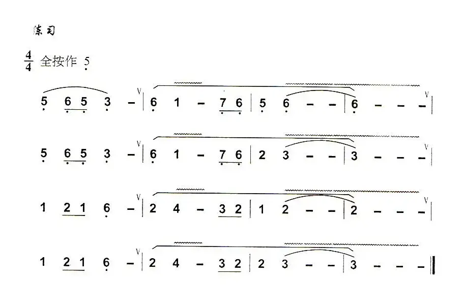 葫芦丝技巧练习之六：气震音练习
