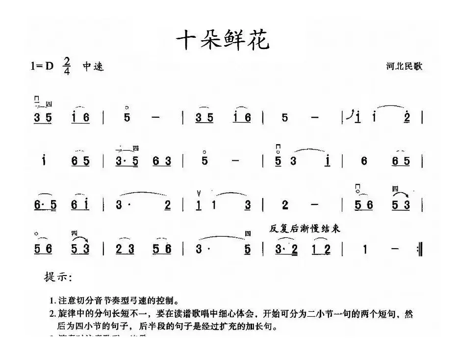 十朵鲜花