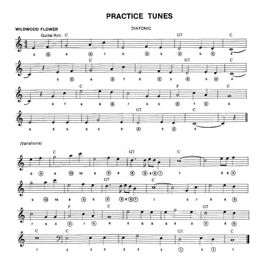 PRACTICE TUNES（布鲁斯入门初级乐曲2首、五线谱）