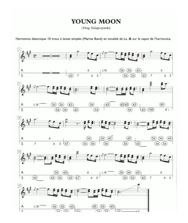 YOUNG MOON（A调口琴）