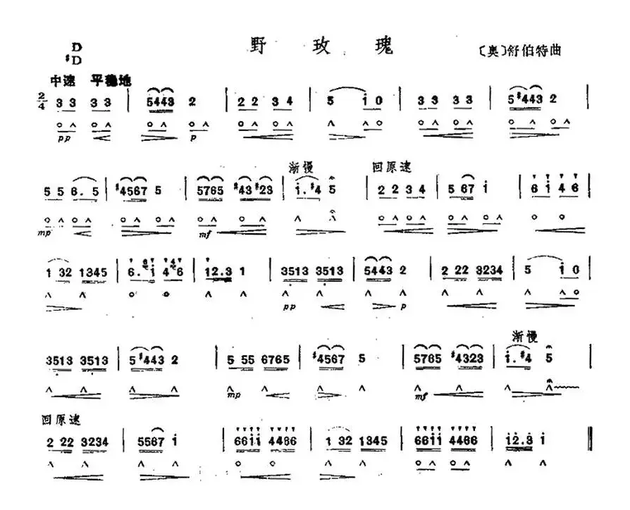 野玫瑰