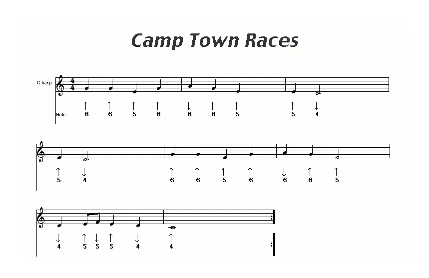 Camp  Town  Races（布鲁斯）