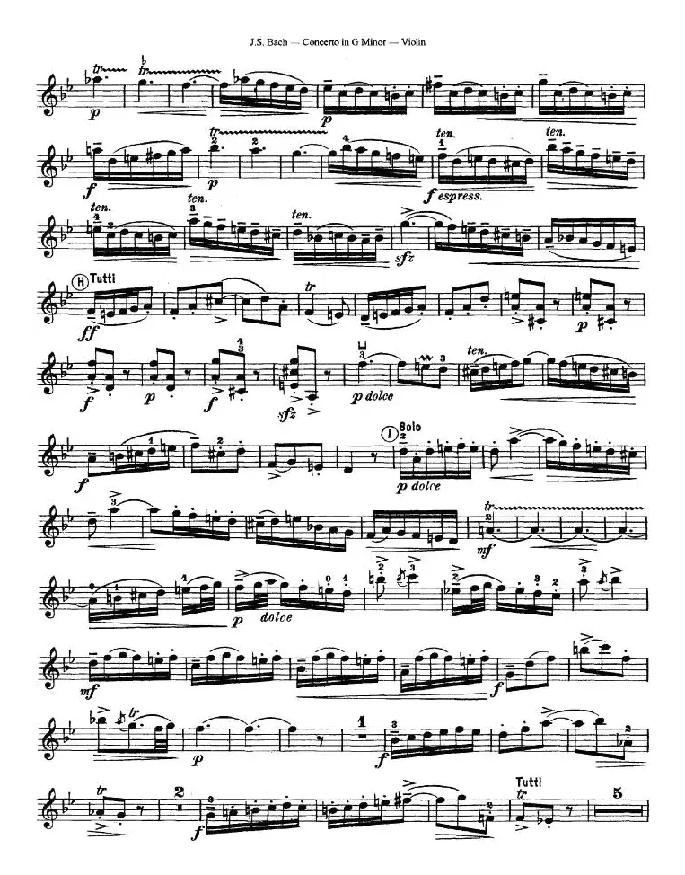 Concerto in G Minor（G小调协奏曲）