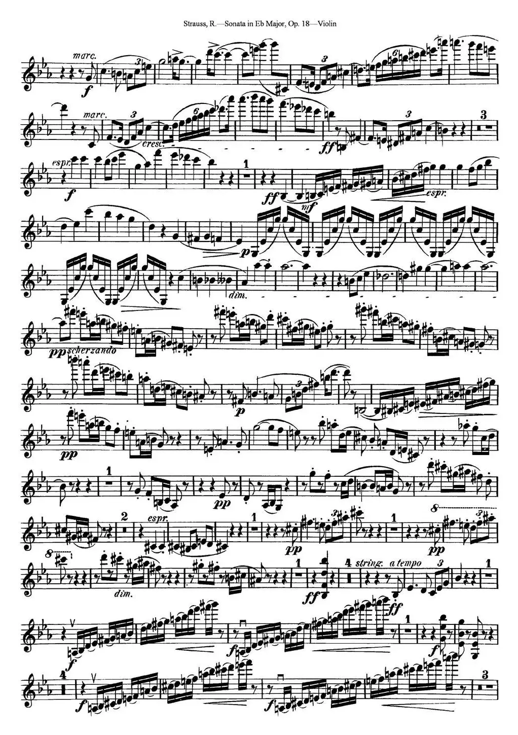 Violin Sonata in Eb Major Op.18