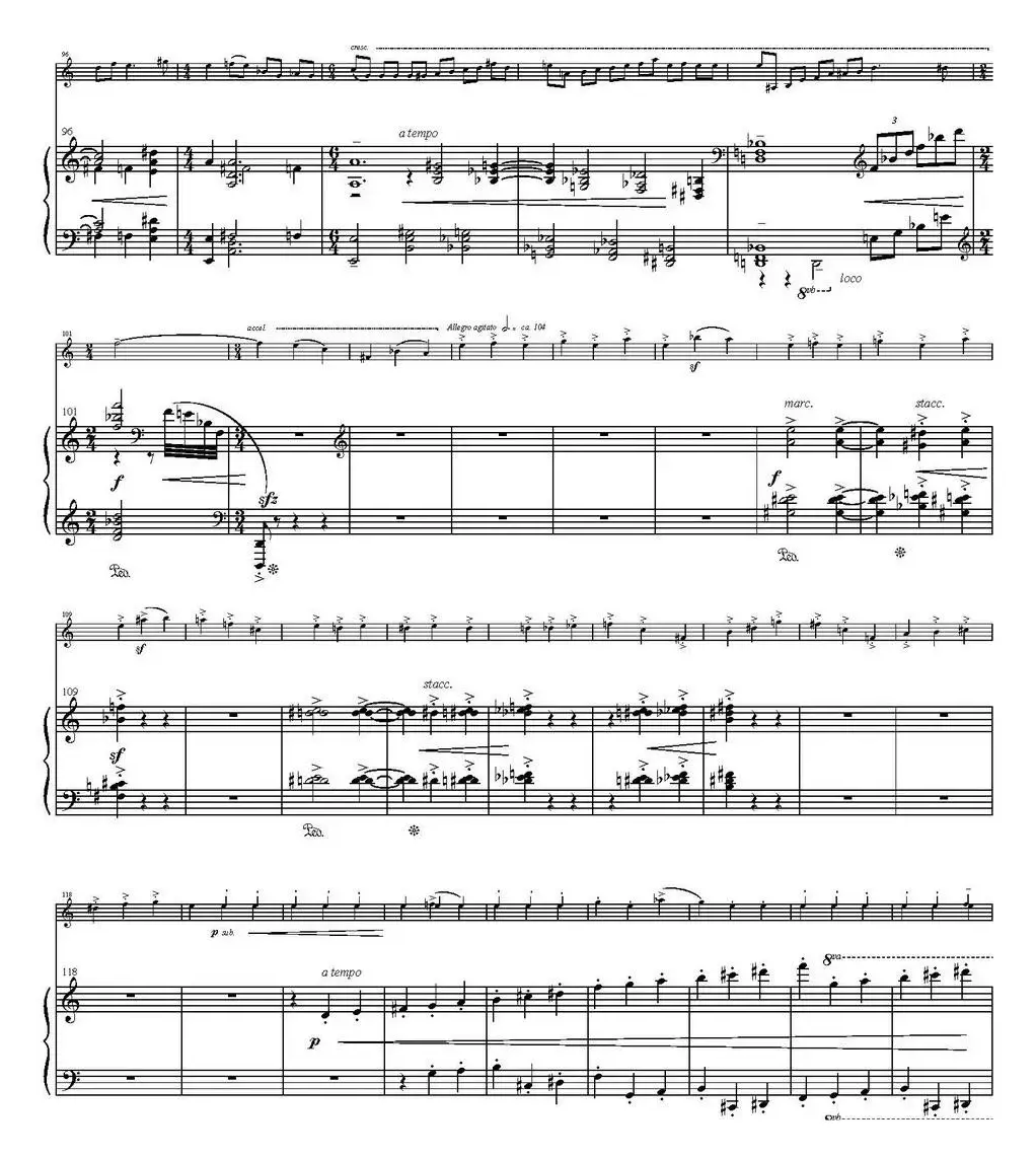 Sonata Poema aenigmaticum（小提琴+钢琴伴奏、4th movement）