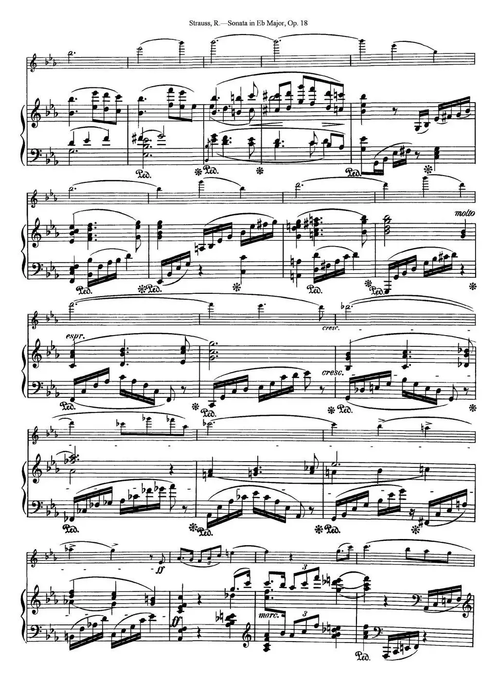 Violin Sonata in Eb Major Op.18（小提琴+钢琴伴奏）